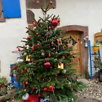 Le Nid De Cigognes Hengwiller