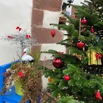 Le Nid De Cigognes Hengwiller