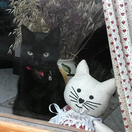 Pensjonat Le Nid De Cigognes 3*