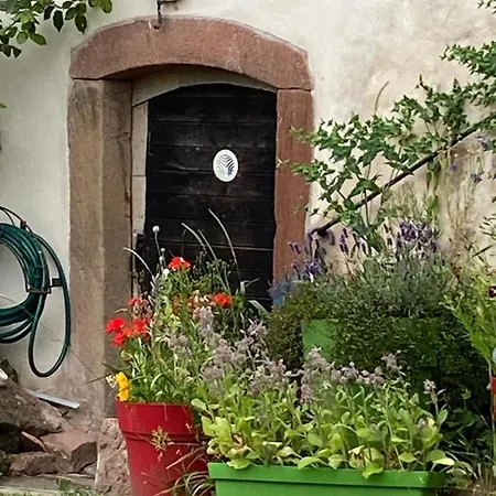Maison d'hôtes Le Nid De Cigognes 3*
