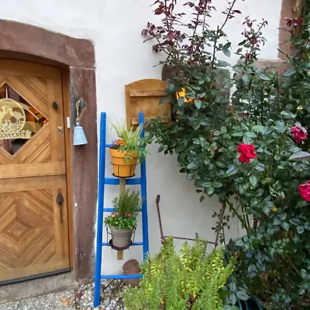 Le Nid De Cigognes Guest house Hengwiller
