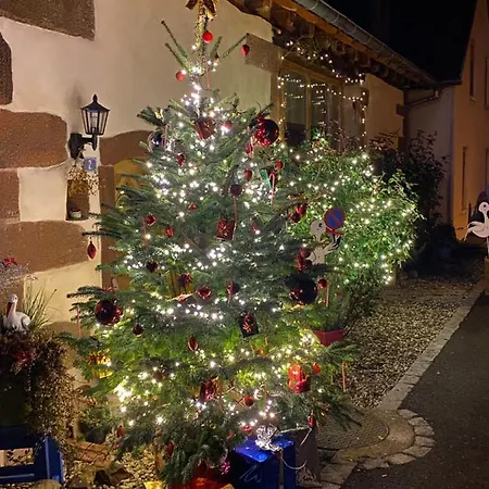 Maison d'hôtes Le Nid De Cigognes