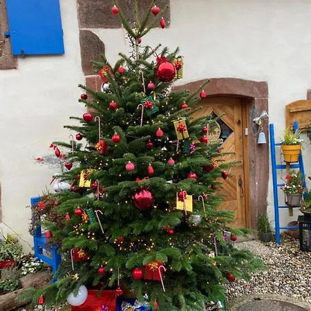 Le Nid De Cigognes Hengwiller