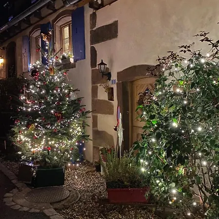 Le Nid De Cigognes Hengwiller