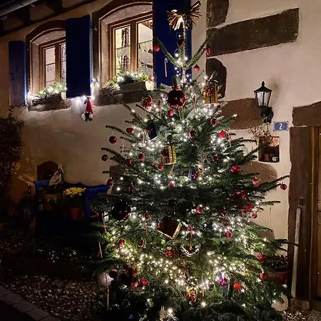 Le Nid De Cigognes Maison d'hôtes