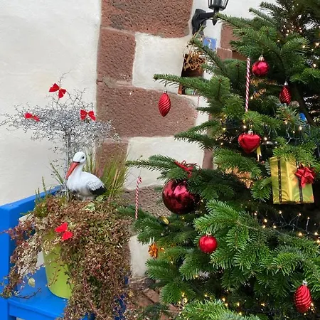 Le Nid De Cigognes Hengwiller