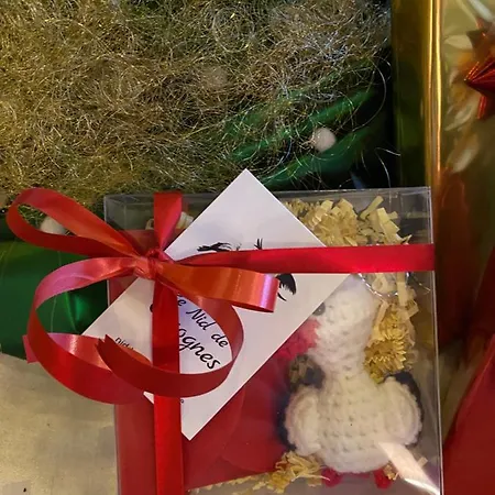 Pensjonat Le Nid De Cigognes Hengwiller