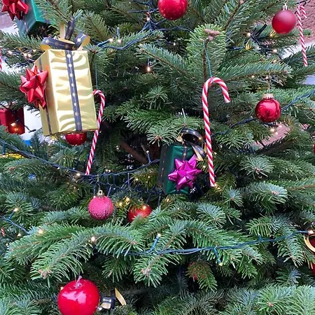 Le Nid De Cigognes 3* Hengwiller