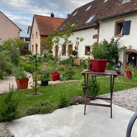Le Nid De Cigognes Pensjonat Hengwiller