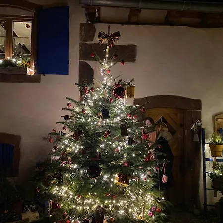 Maison d'hôtes Le Nid De Cigognes Hengwiller