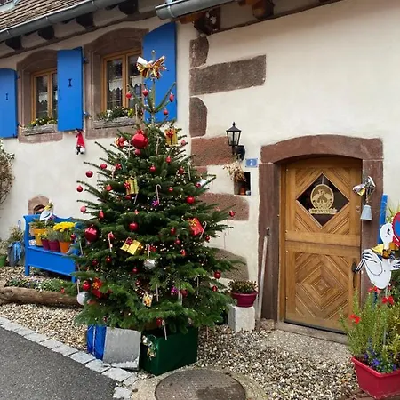 Maison d'hôtes Le Nid De Cigognes Hengwiller
