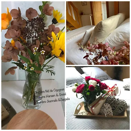 Le Nid De Cigognes 3* Hengwiller