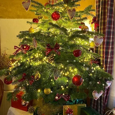 Le Nid De Cigognes 3*