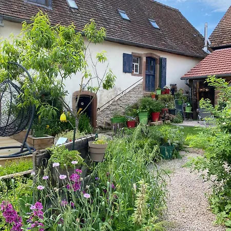 Le Nid De Cigognes Guest house Hengwiller