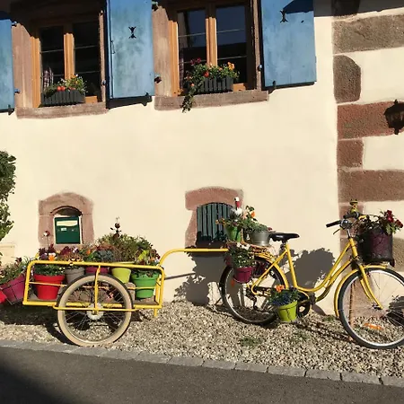 Maison d'hôtes Le Nid De Cigognes Hengwiller