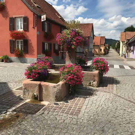 Le Nid De Cigognes Hengwiller