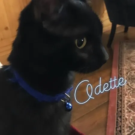 Le Nid De Cigognes Maison d'hôtes