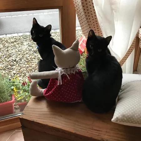 Le Nid De Cigognes 3* Hengwiller