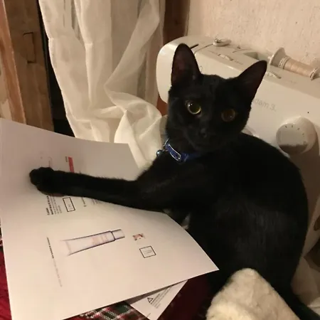 Maison d'hôtes Le Nid De Cigognes 3*