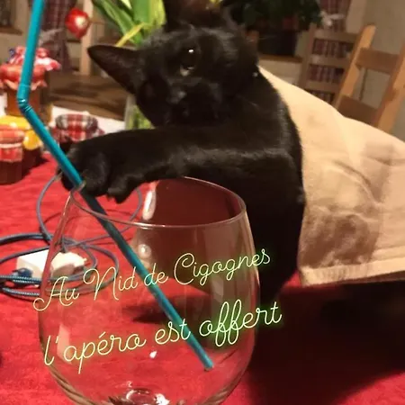 Pensjonat Le Nid De Cigognes 3*