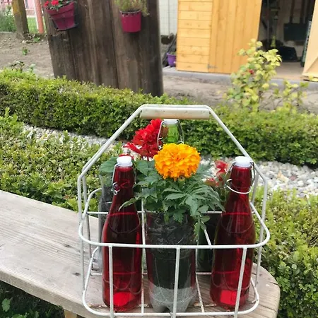 Maison d'hôtes Le Nid De Cigognes Hengwiller