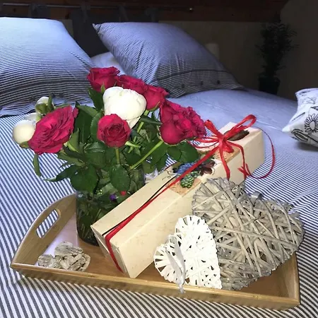 Le Nid De Cigognes Hengwiller