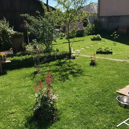 Le Nid De Cigognes 3* Hengwiller