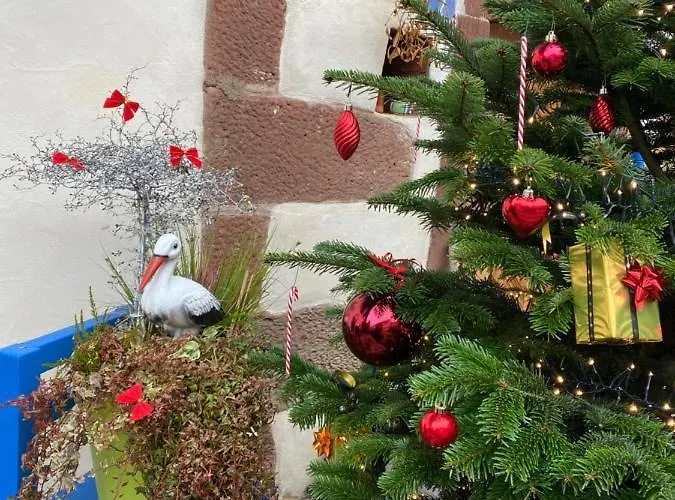 Le Nid De Cigognes Hengwiller