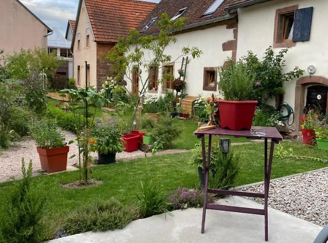 Le Nid De Cigognes Vendégház Hengwiller