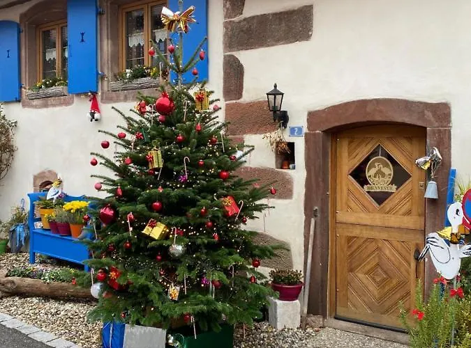 Vendégház Le Nid De Cigognes Hengwiller