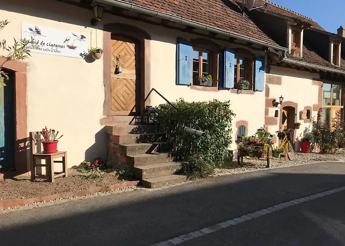 Maison d'hôtes Le Nid De Cigognes Hengwiller