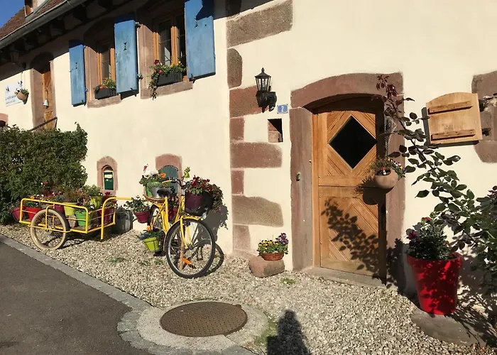 Le Nid De Cigognes 3* Hengwiller